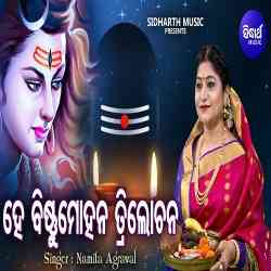 Hey Bishnu Mohan Trilochana